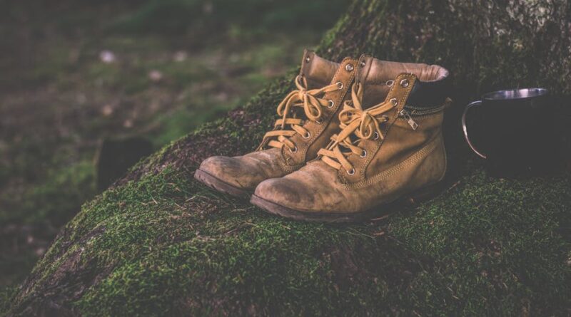 Camping Gear Essentials for Ultimate Comfort