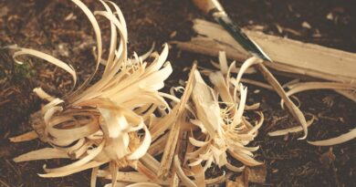 Must-Have Tools for Camping Chefs