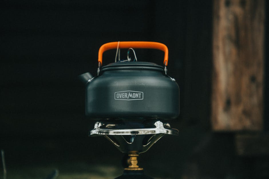Essential Gear for Wild Adventures