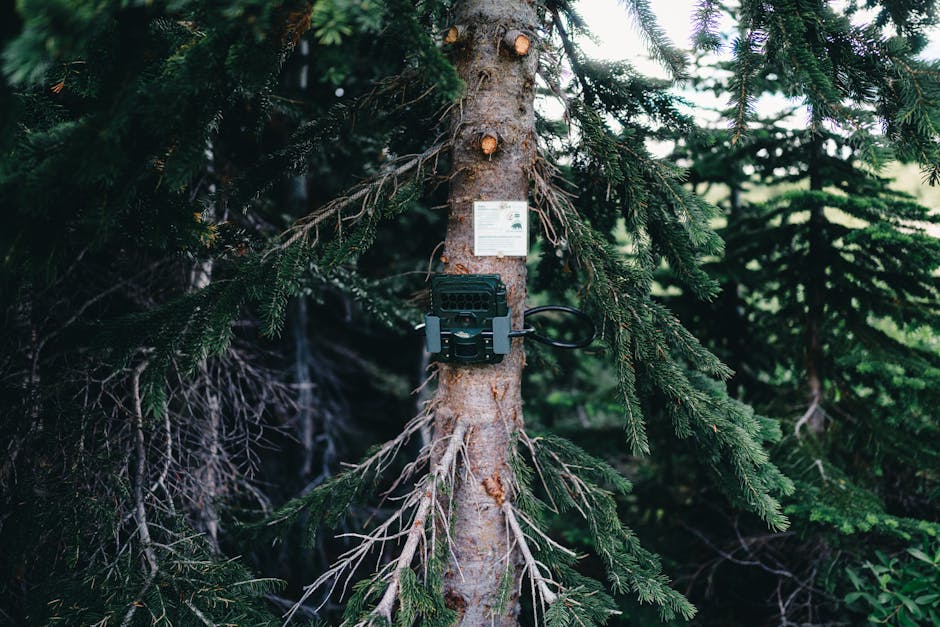 Essential Gear for Wild Adventures